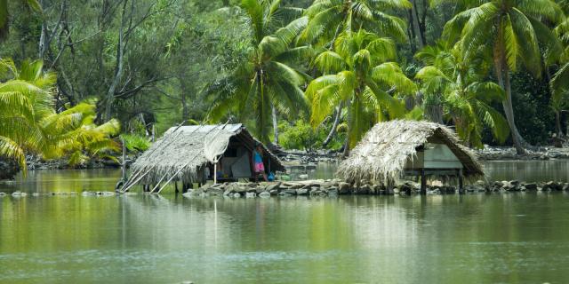 Fare Potee Sur L'eau Huahine