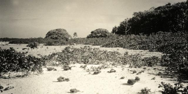 Maris Islands in French Polynesia © Tahiti Heritage