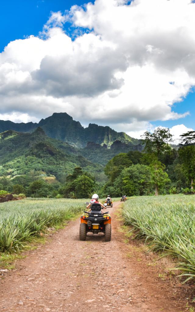 Quad dans les champs d'ananas à Moorea - Tahiti Tourisme © Stéphane Mailion Photography