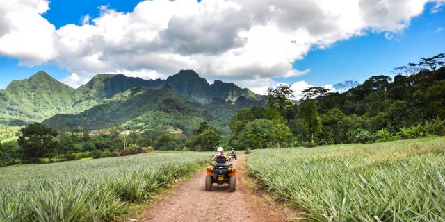 Quad dans les champs d'ananas à Moorea - Tahiti Tourisme © Stéphane Mailion Photography