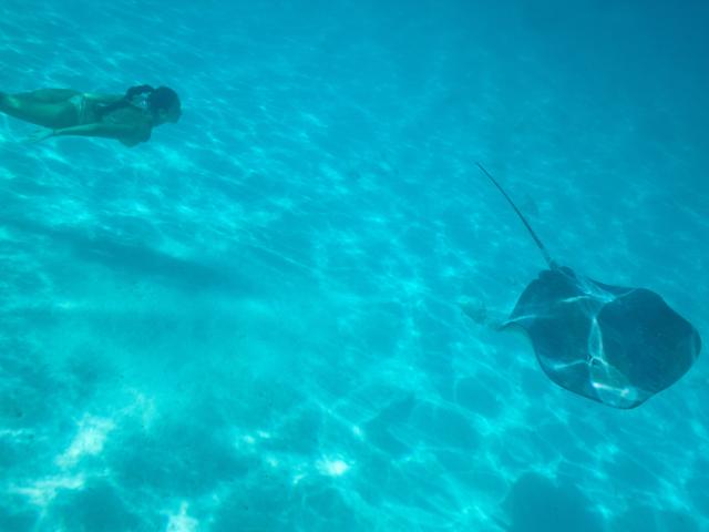 Plongée Moorea © Tahiti Tourisme