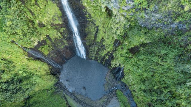 Cascade à Tahiti