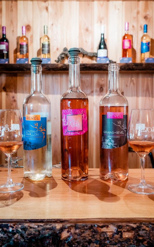 Domaine de Revel