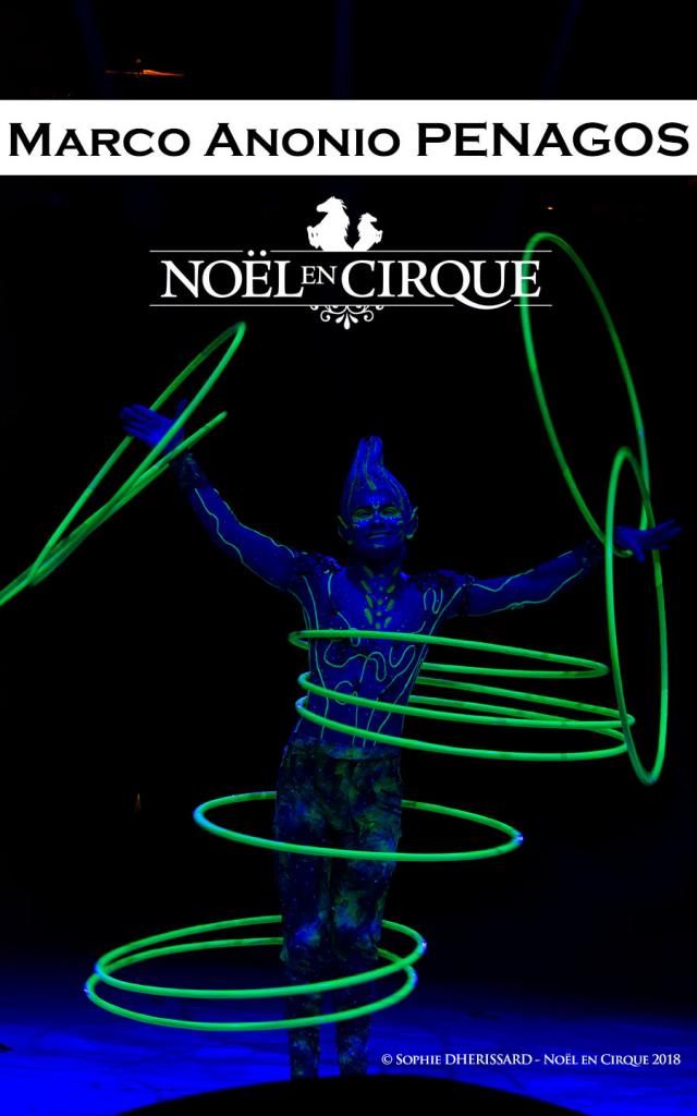 Noël en Cirque