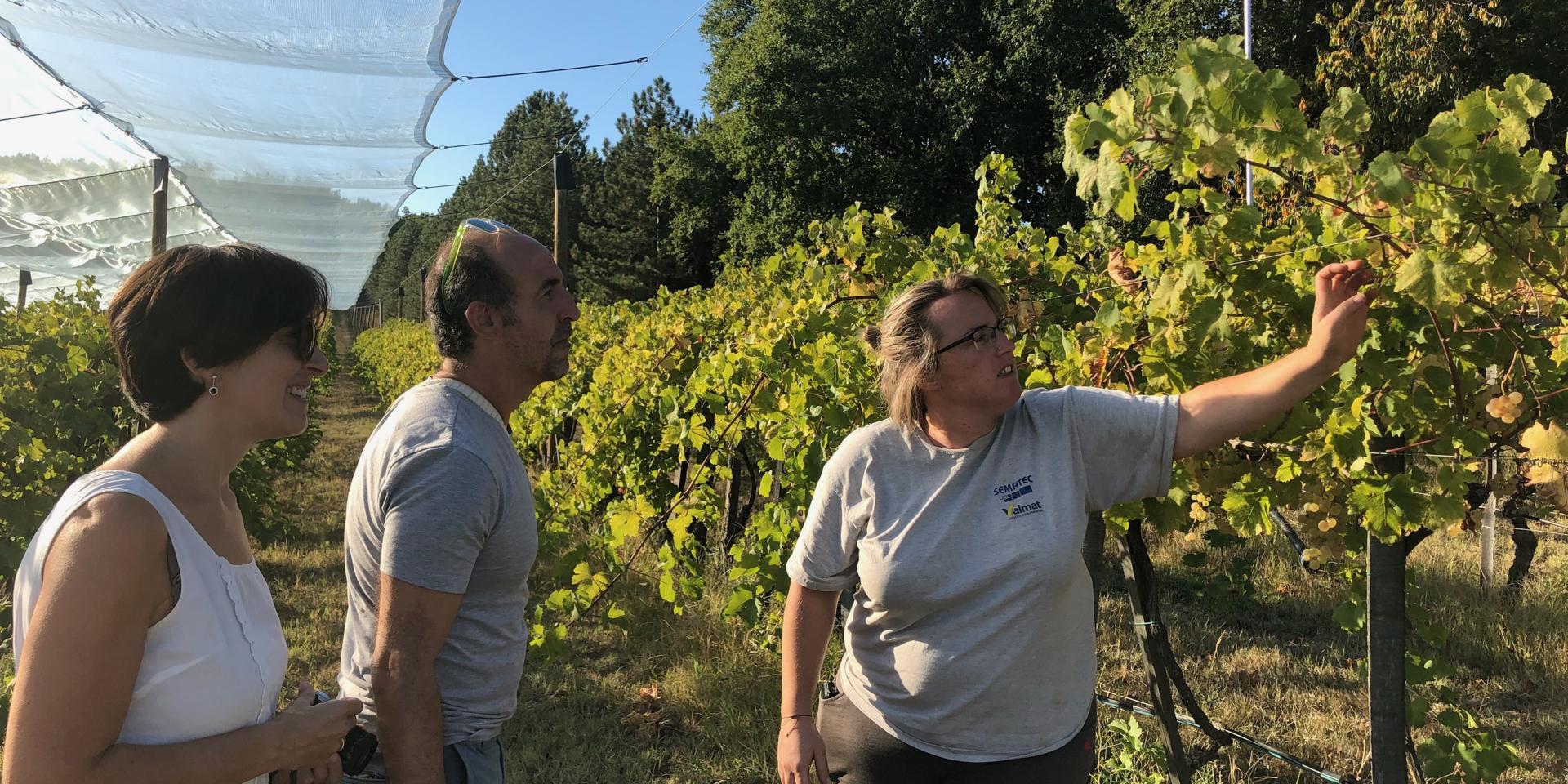 Visite ferme chasselatière