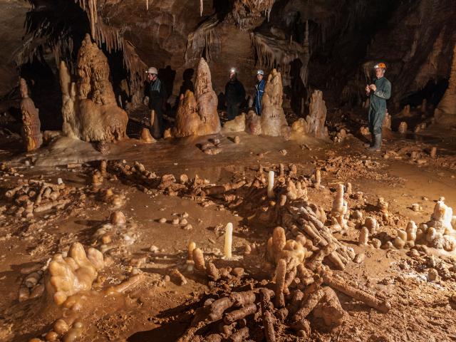Grotte de Bruniquel