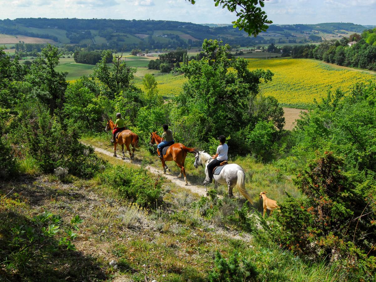 Le Tarn-et-Garonne Au Printemps | Tarn-et-Garonne Tourisme