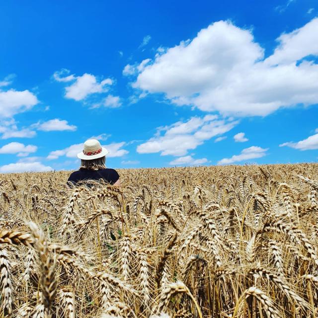 Instagram #tourismetarnetgaronne