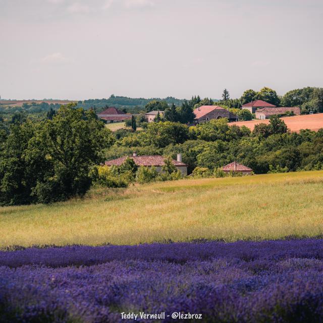 Coteaux du Quercy entre vergers et pierre blanche