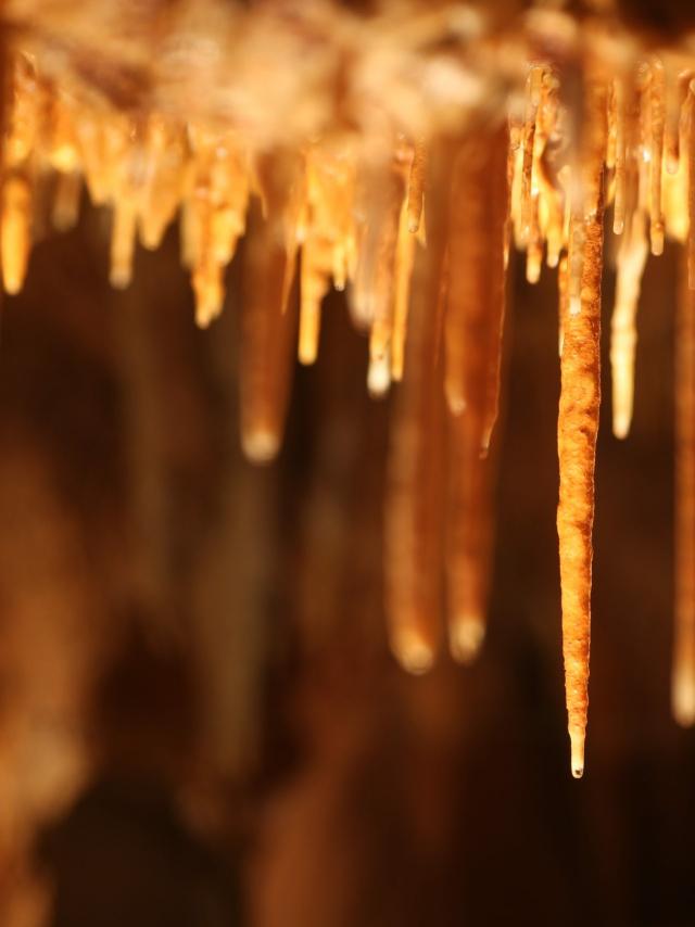 La grotte du Bosc