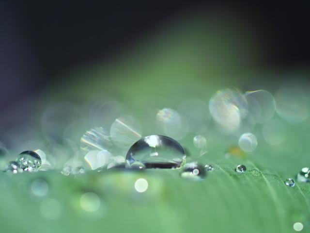 Jour De Pluie Tarn Et Garonne