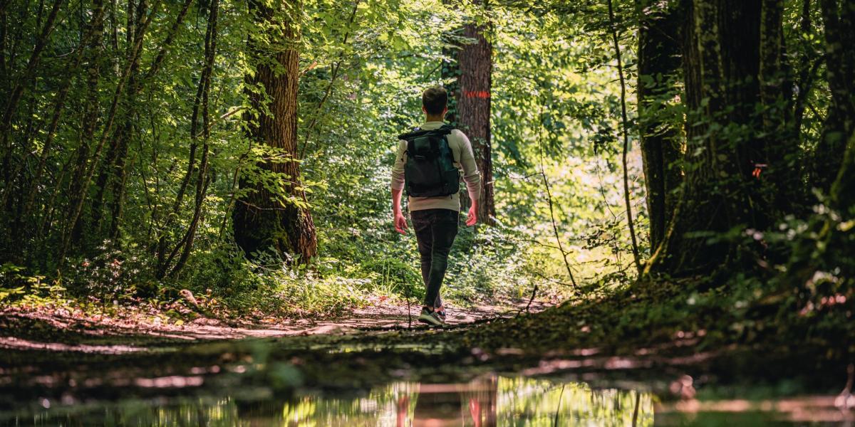 Nos Circuits De Randonnée | Site Officiel Du Tourisme En Tarn Et Garonne