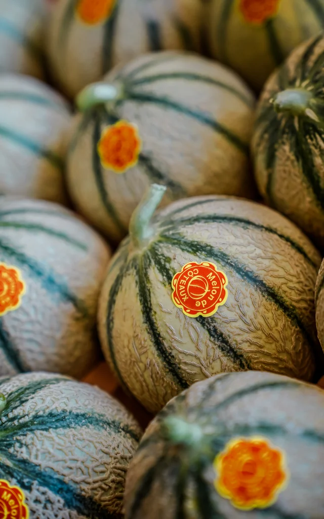 Melon du Quercy