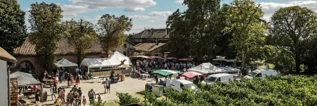 Fete Des Vendanges Aurelien Desmiers