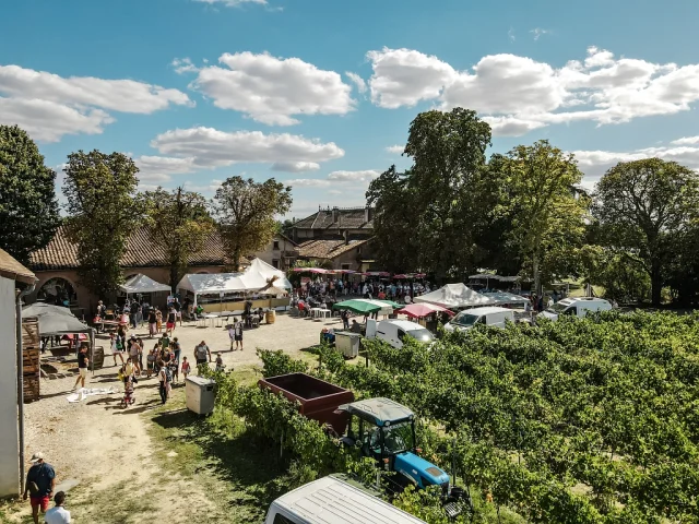 Fete Des Vendanges Aurelien Desmiers