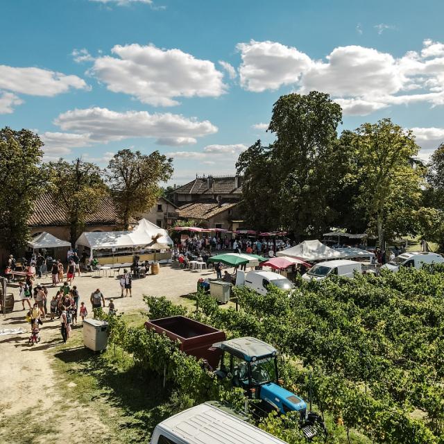 Fete Des Vendanges Aurelien Desmiers