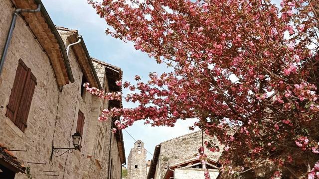 Instagram #tarnetgaronne