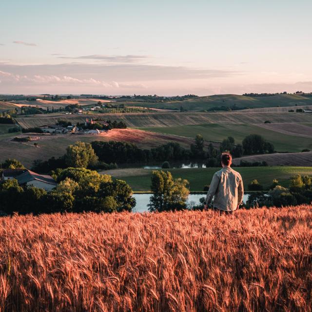 Paysage de la Lomagne tarn et garonnaise