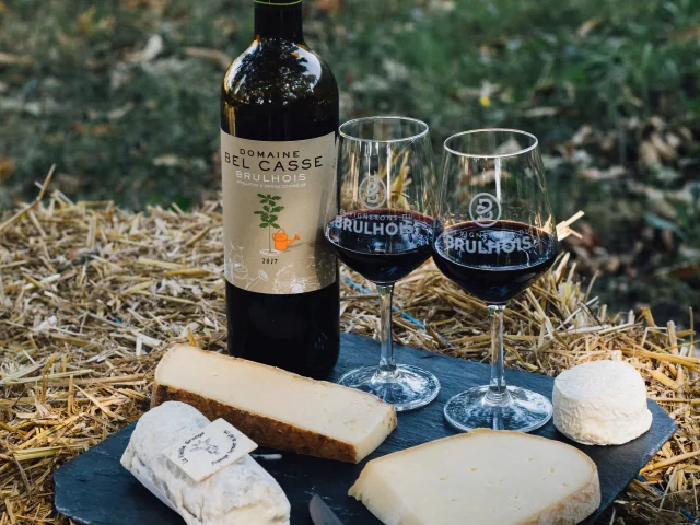 Vin du Brulhois et fromage
