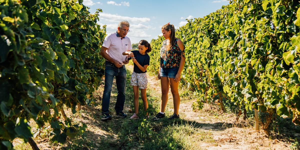 Nos Circuits De Randonnée | Site Officiel Du Tourisme En Tarn Et Garonne