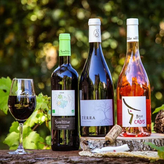 Vins de Saint-Sardos