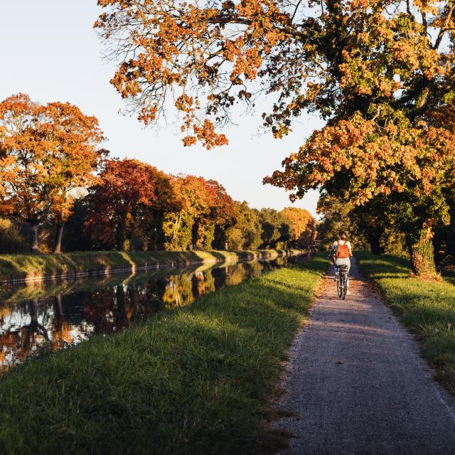 Le Tarn-et-Garonne en Automne