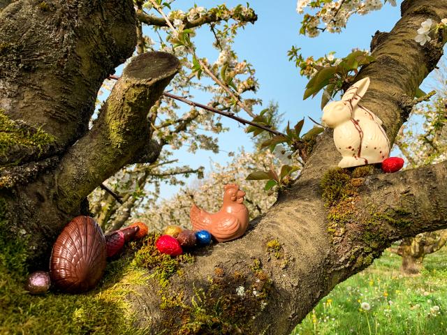 Pâques en Tarn-et-Garonne
