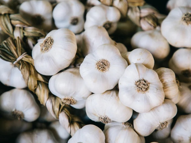 Ail blanc de Lomagne