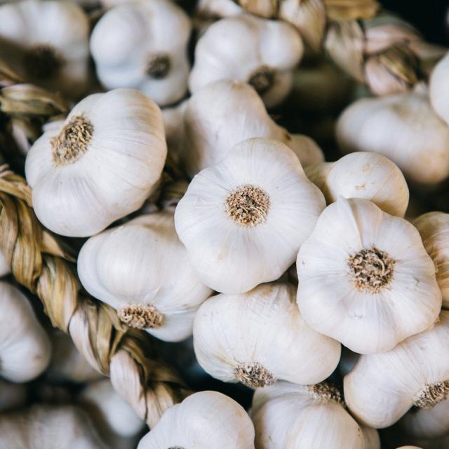 Ail blanc de Lomagne