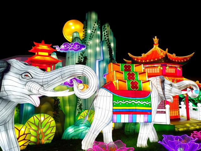 Festival Des Lanternes de Montauban