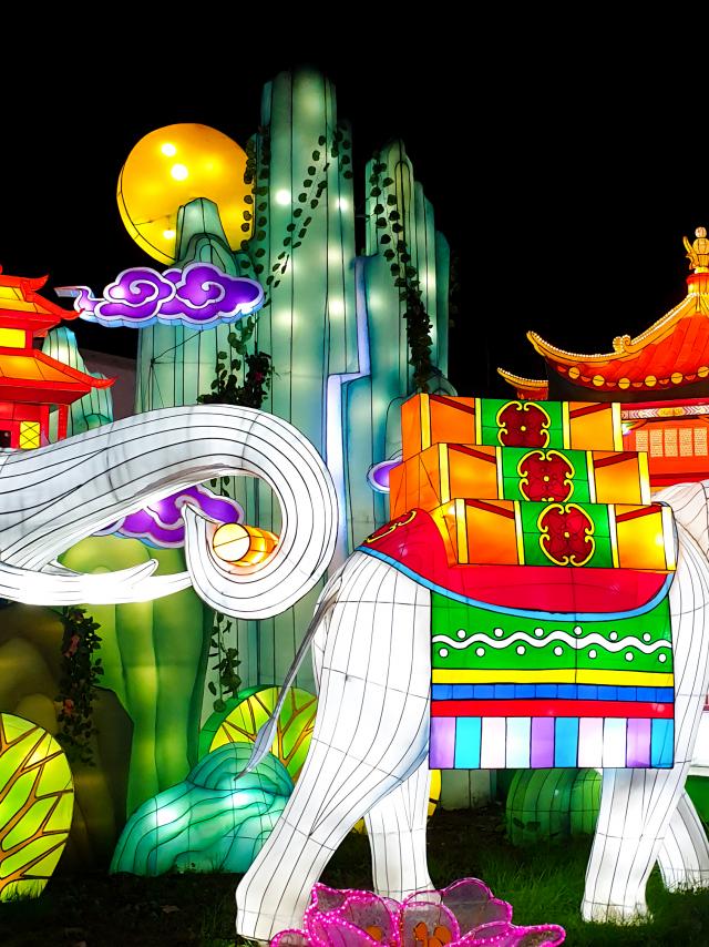 Festival Des Lanternes de Montauban