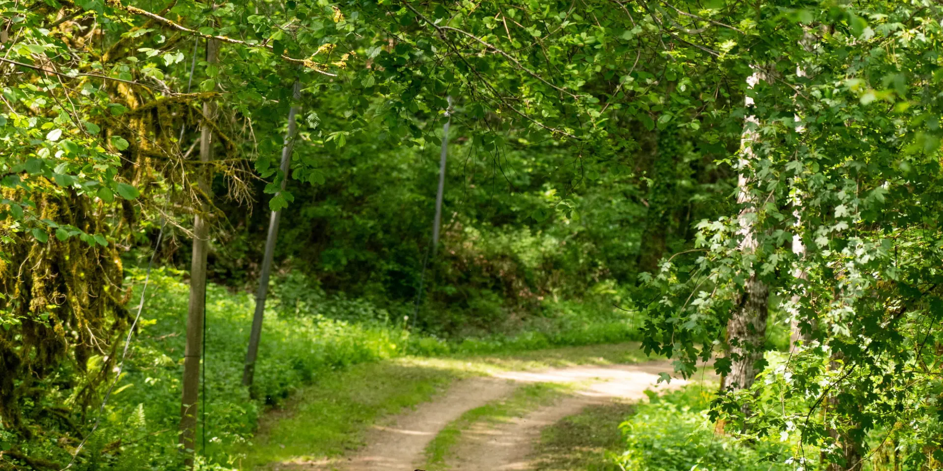 Randonnée GR 36 Conques Toulouse