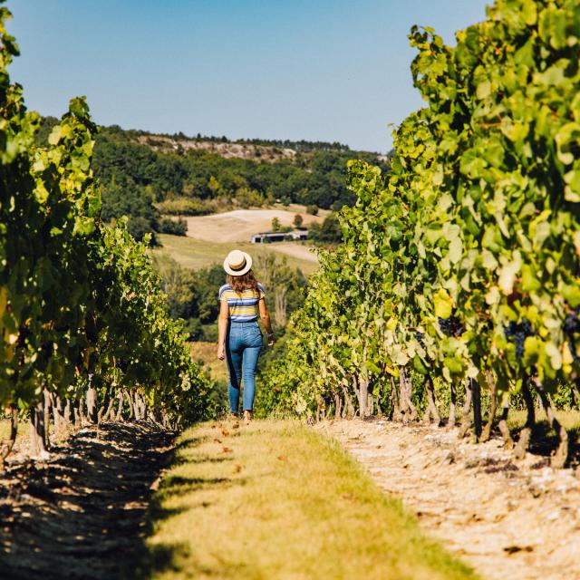 Jeu concours autour du vin