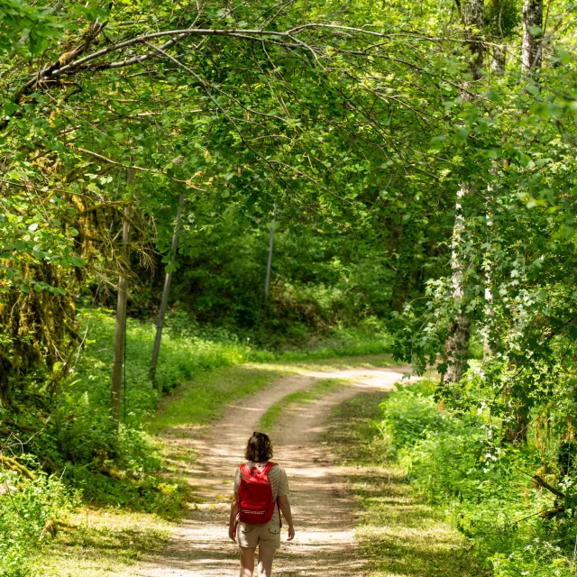 Randonnée GR 36 Conques Toulouse