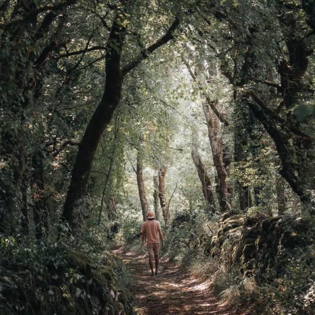 Instagram #tarnetgaronne