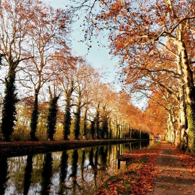 Instagram #tarnetgaronne