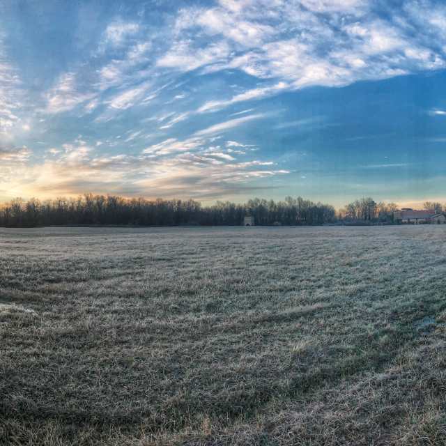 Paysage d'hiver