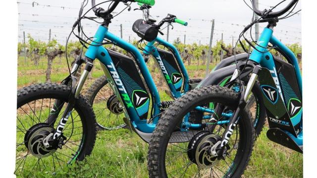 Nomade Trott