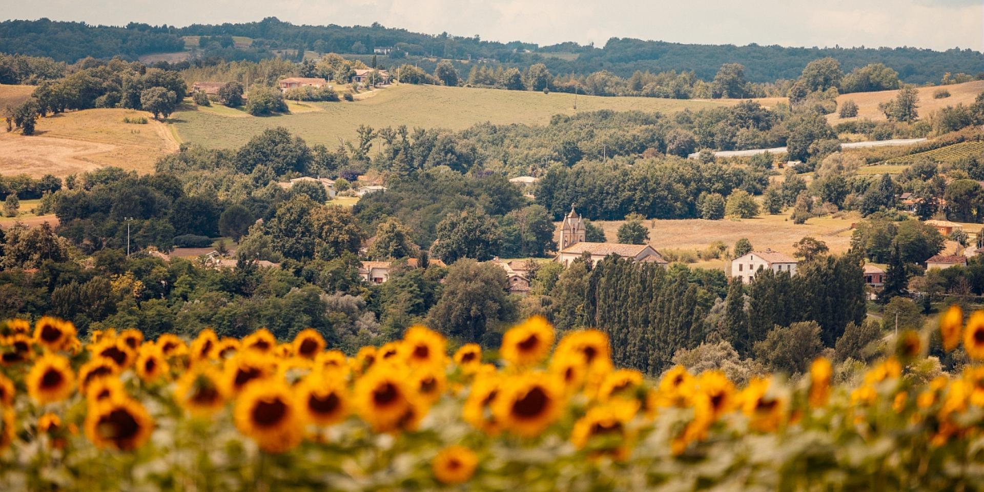 Paysage de Lafrançaise