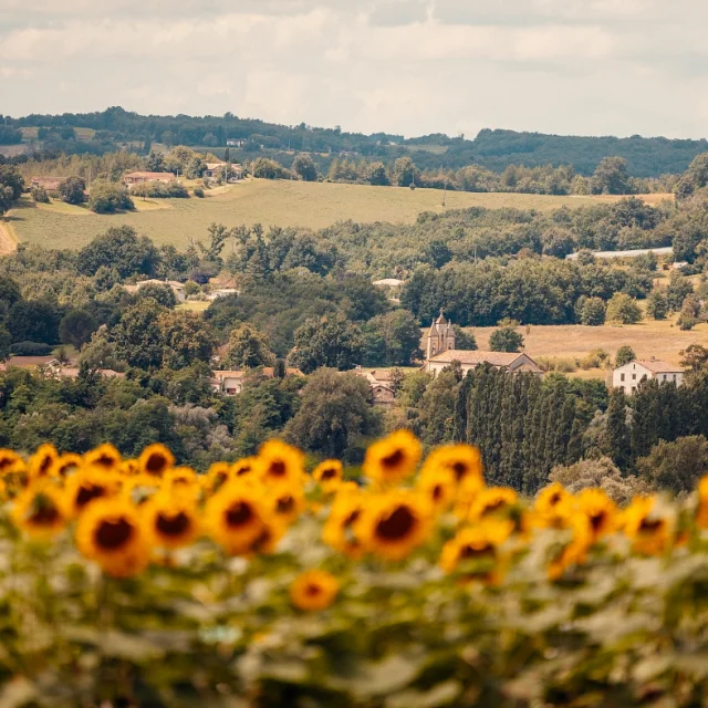 Paysage de Lafrançaise