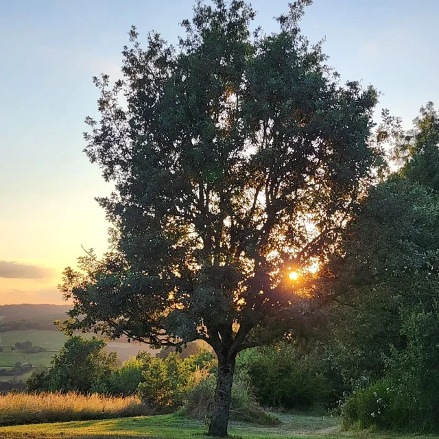 Instagram #tourismetarnetgaronne