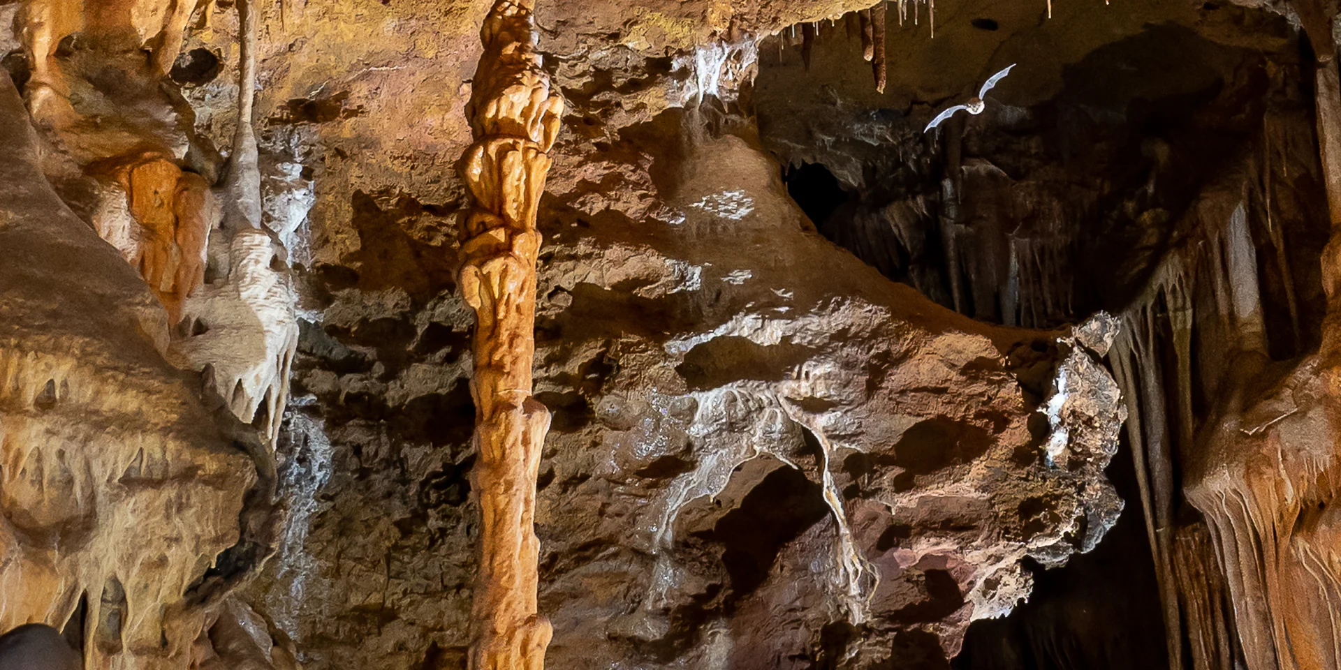 Paysage Grotte Du Bosc. Credit Jean Francois Fabriol