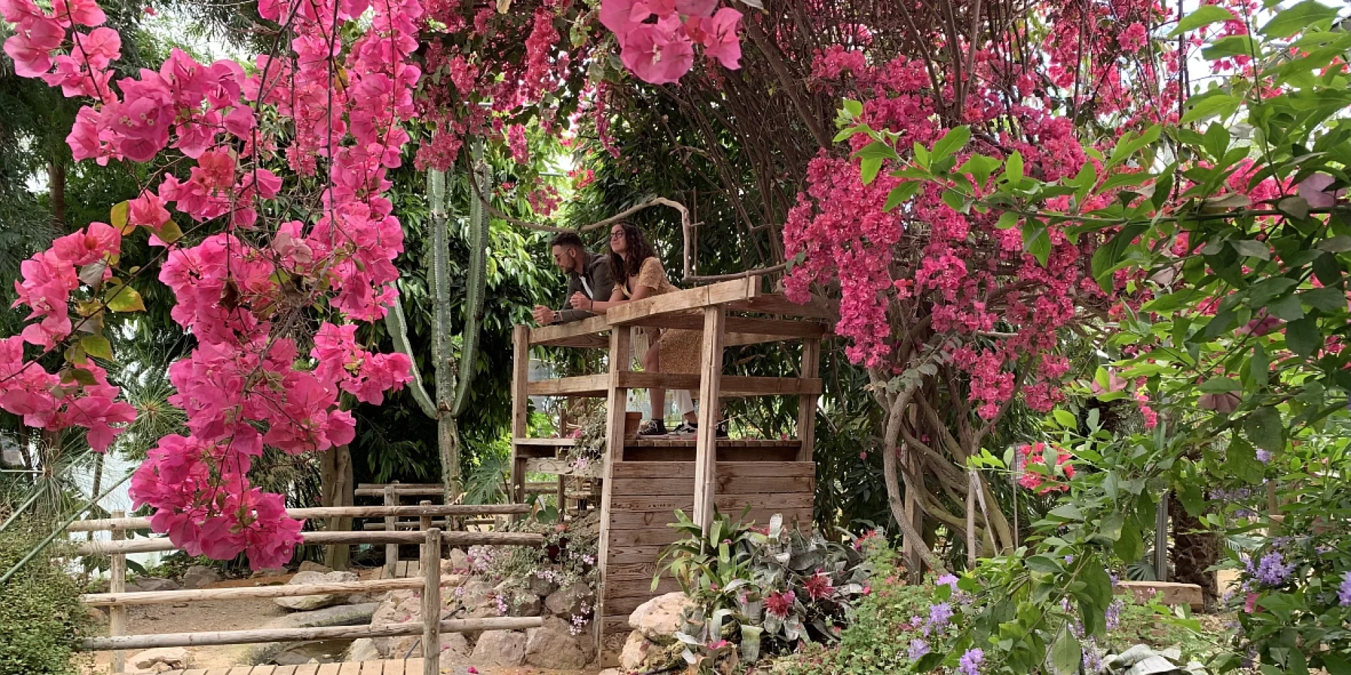 Serre exotique du Domaine de Gazania