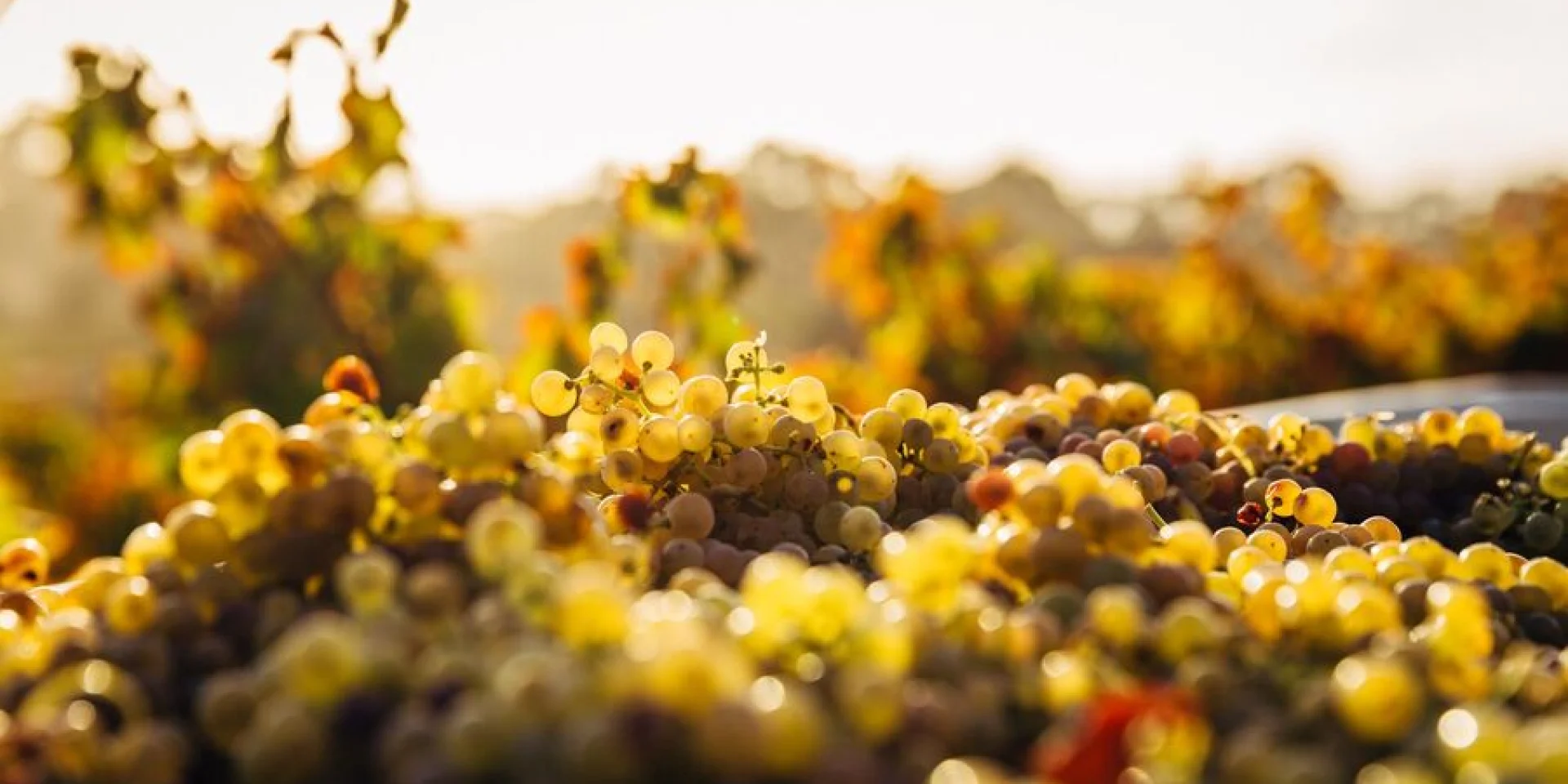 Domaine Labastidum
