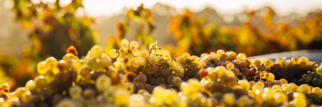 Domaine Labastidum