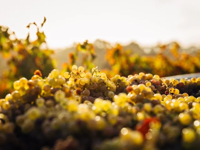 Domaine Labastidum