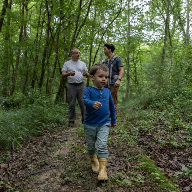 Adt82 Jolies Lueurs Genebrieres