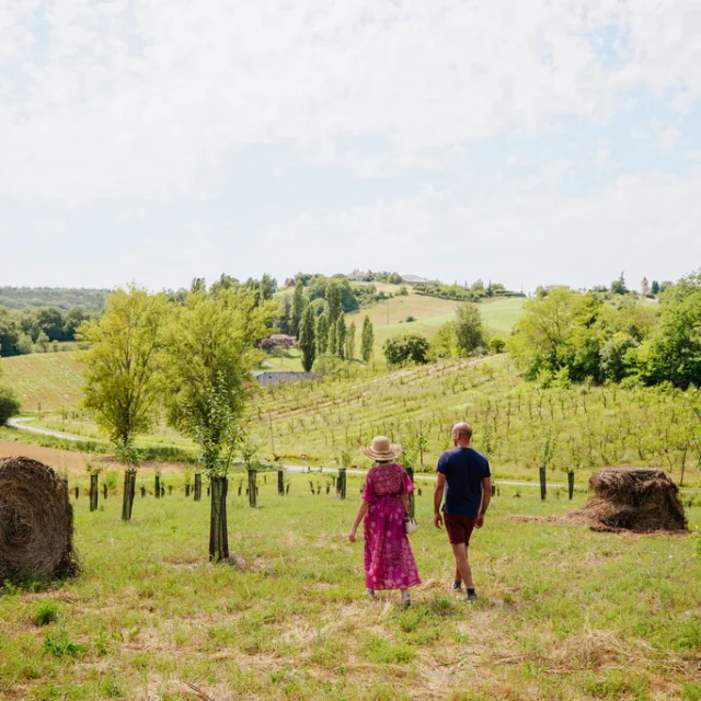 Adt82 Ferme De La Felicita Olivier Rosec