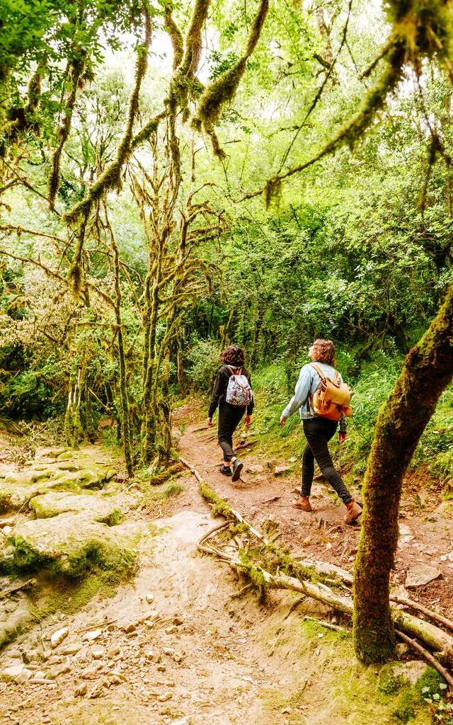 Adt82 06089 Bruniquel Olivier Rosec