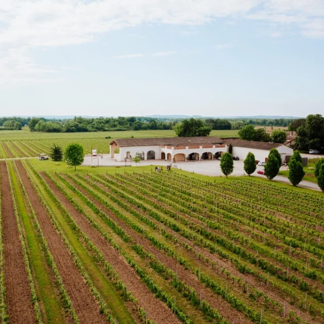 Adt82 06244 Domaine De Montels Olivier Rosec